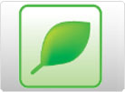 ECO565